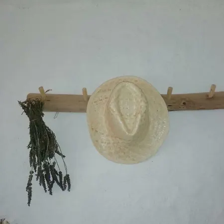 Casa Hernandez *